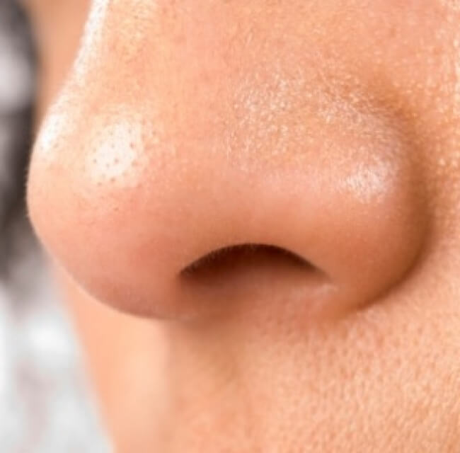 mexican nose shape